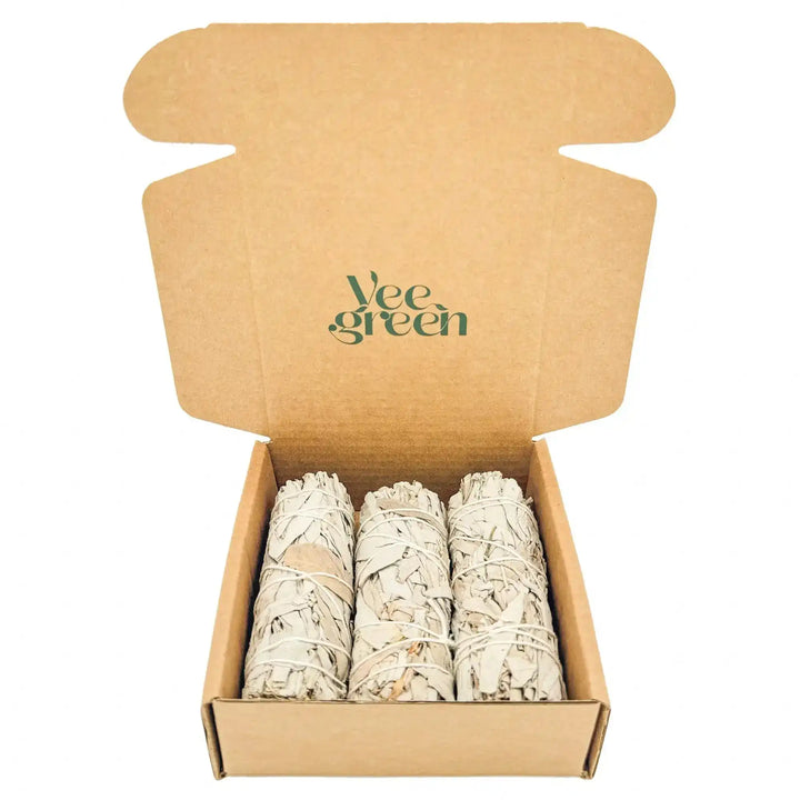 Coffret de 3 Sauges Blanches