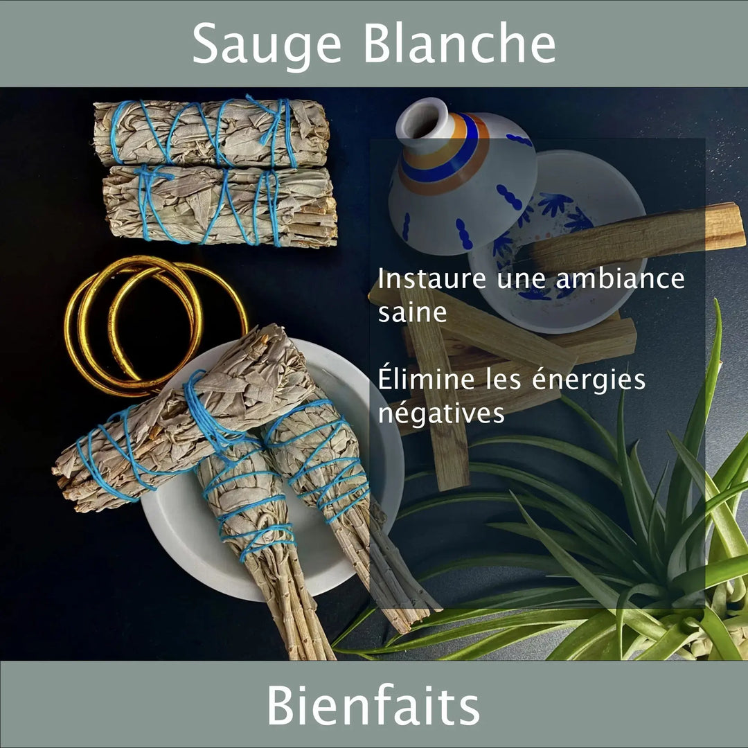Sauge Blanche & Palo Santo Veegreen