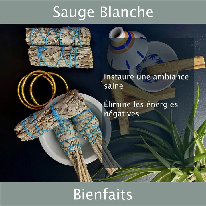Sauge Blanche & Palo Santo Veegreen