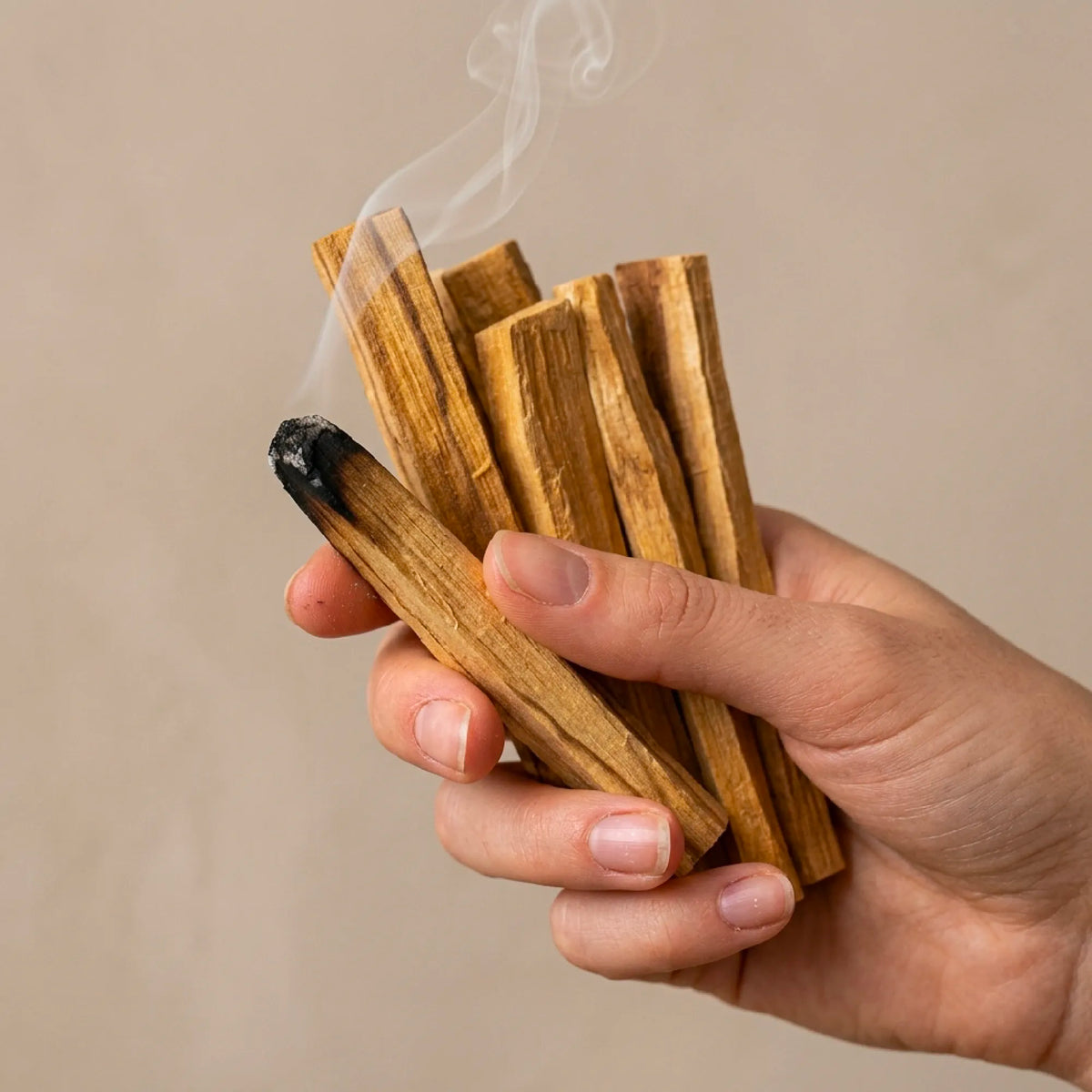 Palo Santo Wood Gift Set – 150g + Guide
