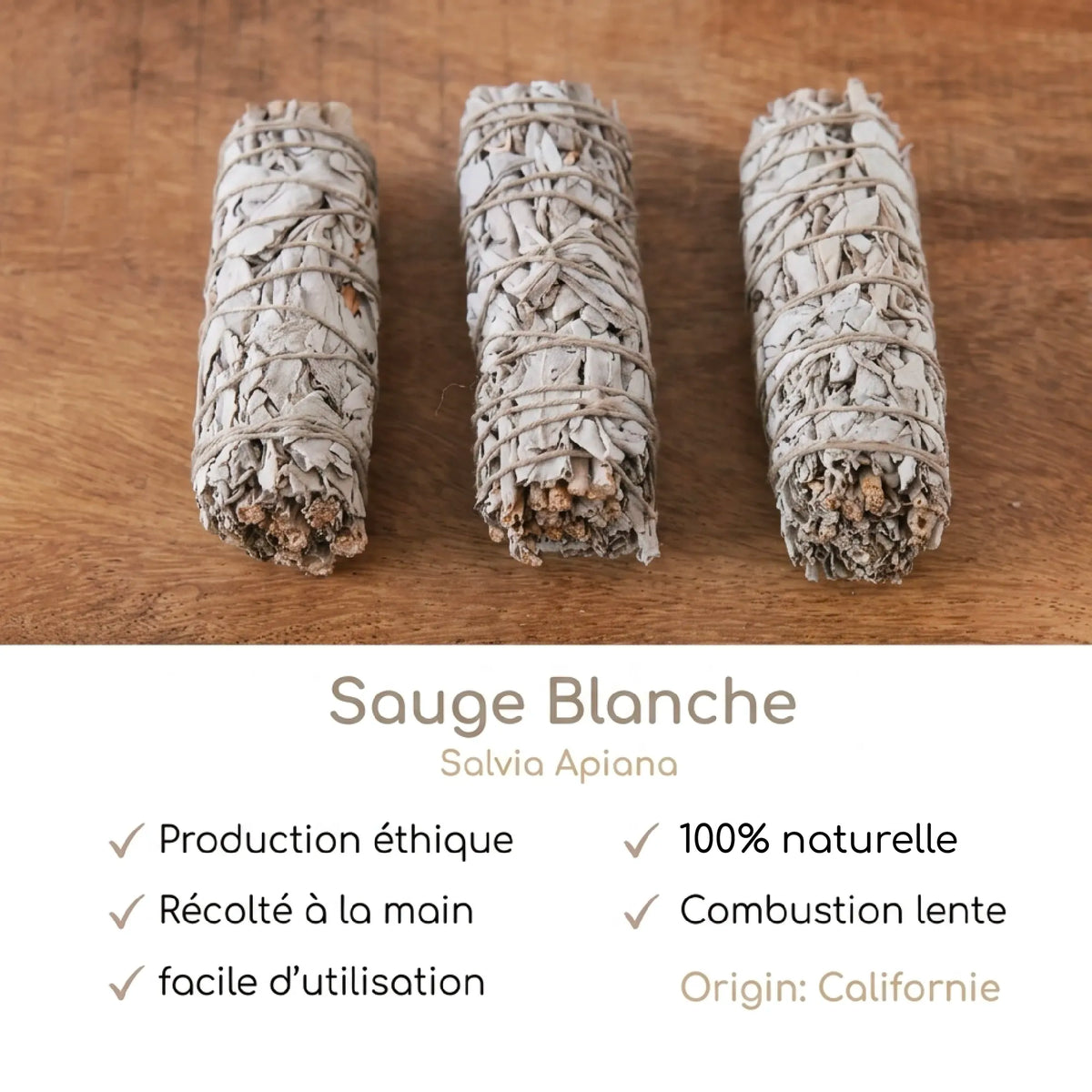 Coffret Sauge Blanche - Purification
