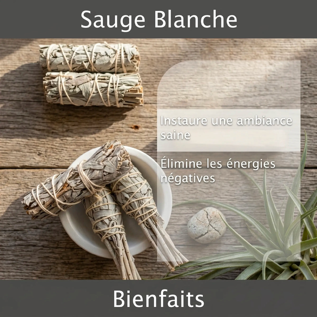 Coffret Sauge Blanche - Purification