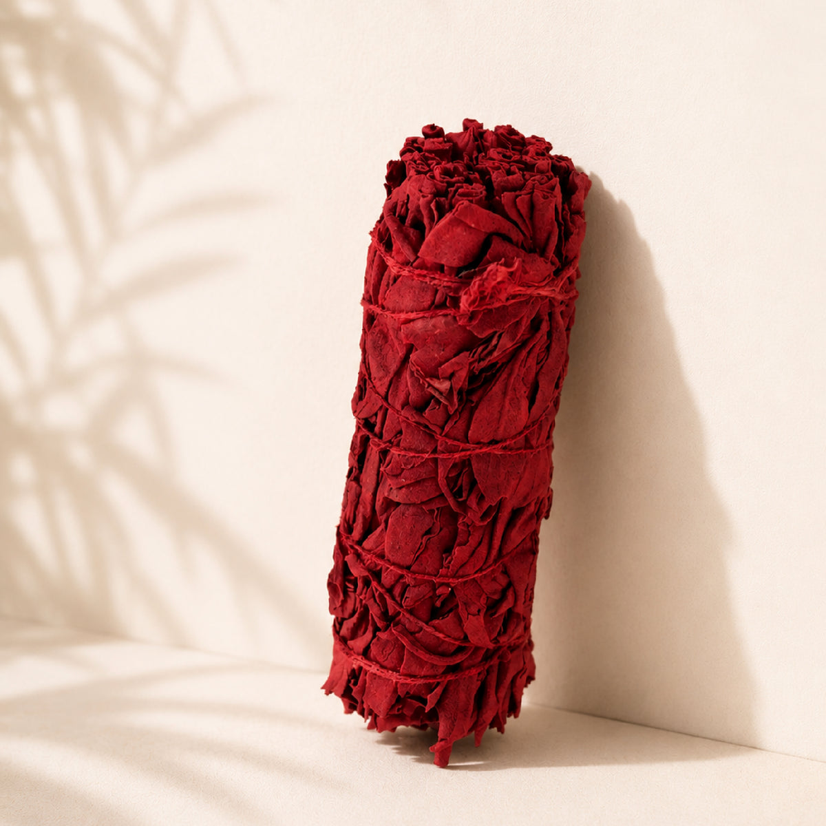Dragon's Blood Sage — White Sage Stick & Resin, 10 cm