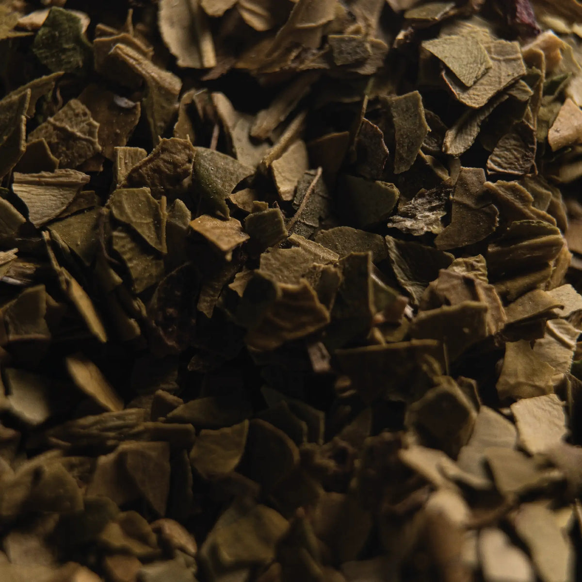 Organic Green Yerba Mate - Infusion