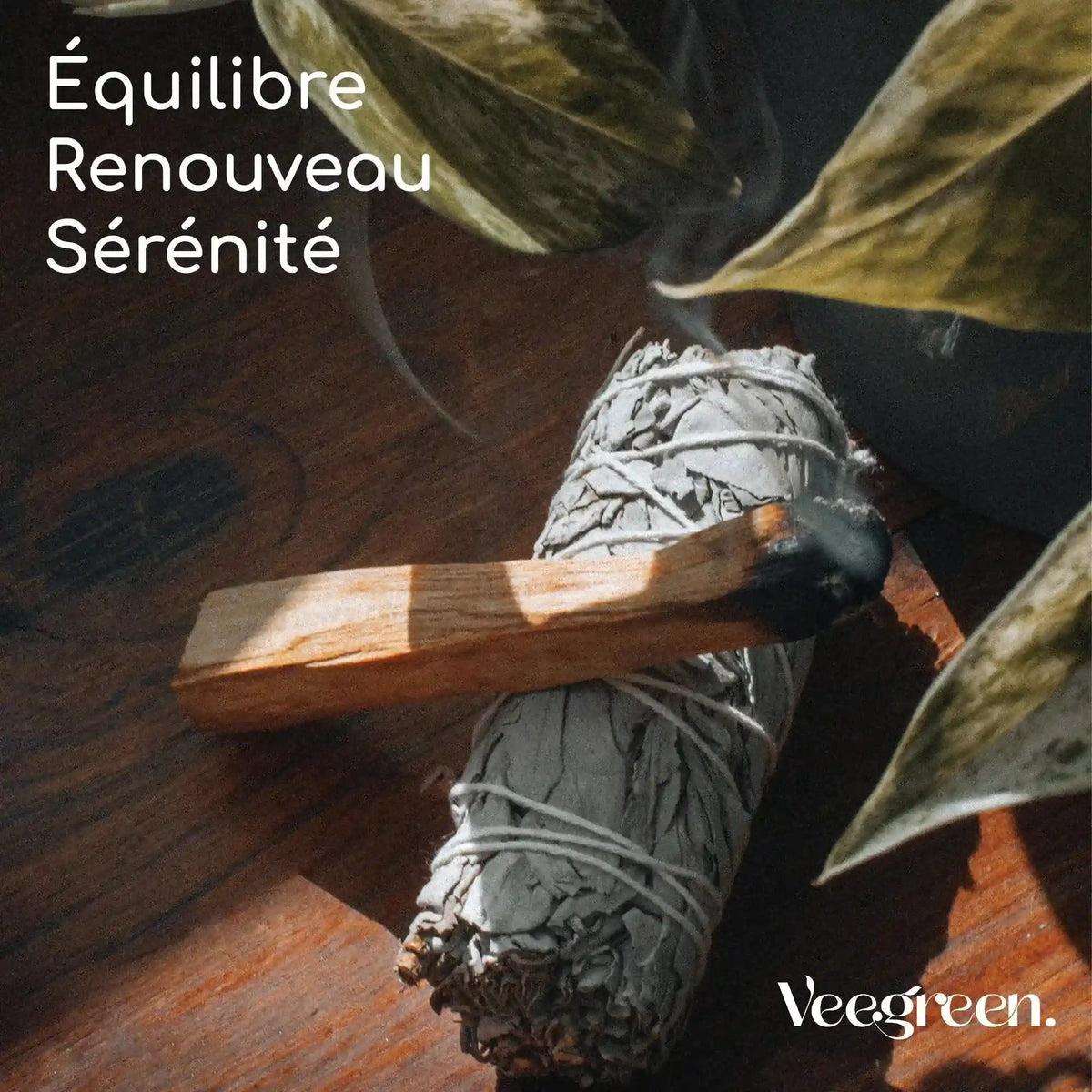 Sauge Blanche Palo Santo équilibre